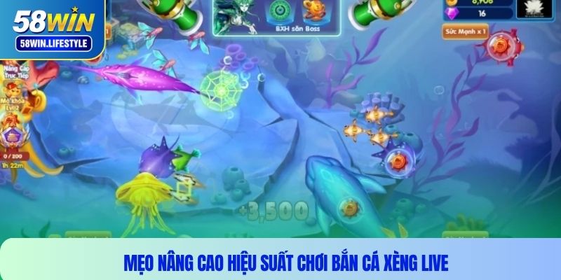 Mẹo nâng cao hiệu suất chơi bắn cá xèng live