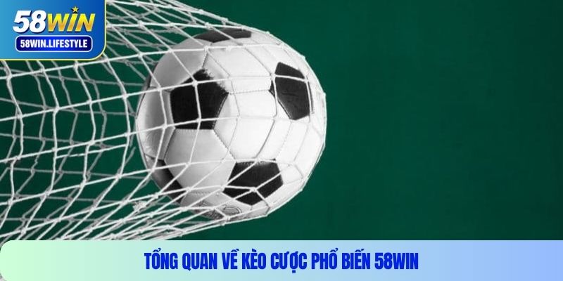 Tổng quan về kèo cược phổ biến 58WIN
