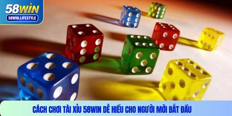 Cách chơi Tài Xỉu 58WIN dễ hiểu cho người mới bắt đầu