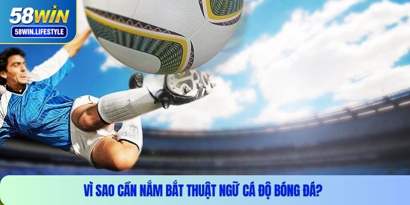 Vì sao cần nắm bắt thuật ngữ cá độ bóng đá?
