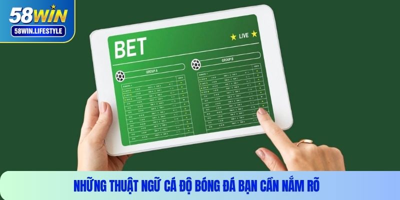 Những thuật ngữ cá độ bóng đá bạn cần nắm rõ